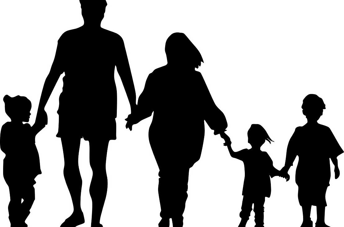 Blended, beanpole, biological? changing family trends Massey University